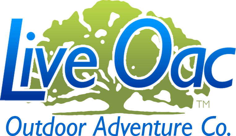 liveoac.com icon
