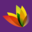 livewelldorset.co.uk icon