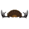 livingthedreamland.com icon