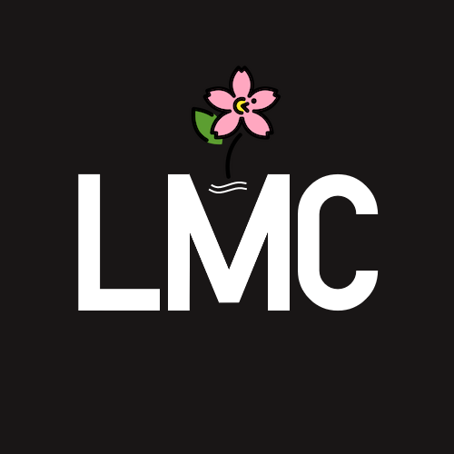 livzmc.net icon