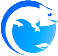 lizarder.com icon
