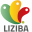 liziba.cg icon