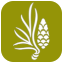 llanosdelhospital.com icon