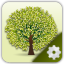 lledieu.org icon
