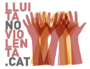 lluitanoviolenta.cat icon