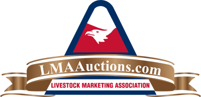 lmaauctions.com icon