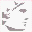 lmrweb2.com icon