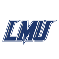 lmurailsplitters.com icon