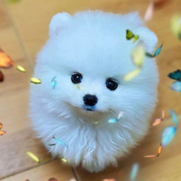 lnkldl.cn icon
