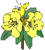 loder-plants.co.uk icon