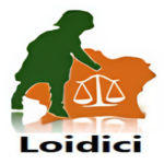 loidici.biz icon
