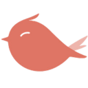 lojacolaedecora.com.br icon
