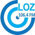 lokaleomroepzeewolde.nl icon
