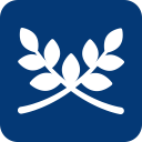 lomonpansion.ru icon