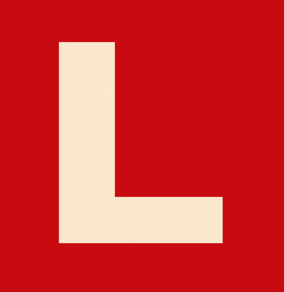 longislandbrandinggroup.com icon
