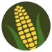 longviewcb.com icon