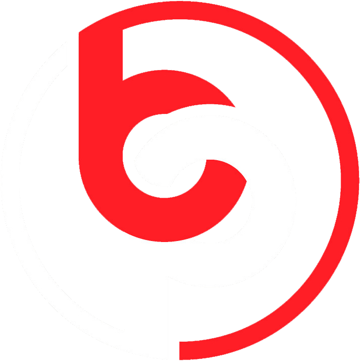lookatthebigpicturepb.com icon