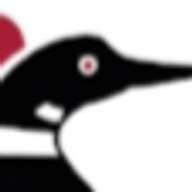 The Loon Golf Resort logo