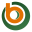 loteriabonoloto.info icon