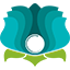lotusdeveloper.ir icon
