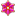 lotushoki.com icon