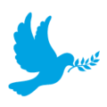 lourdes-giftshop.com icon