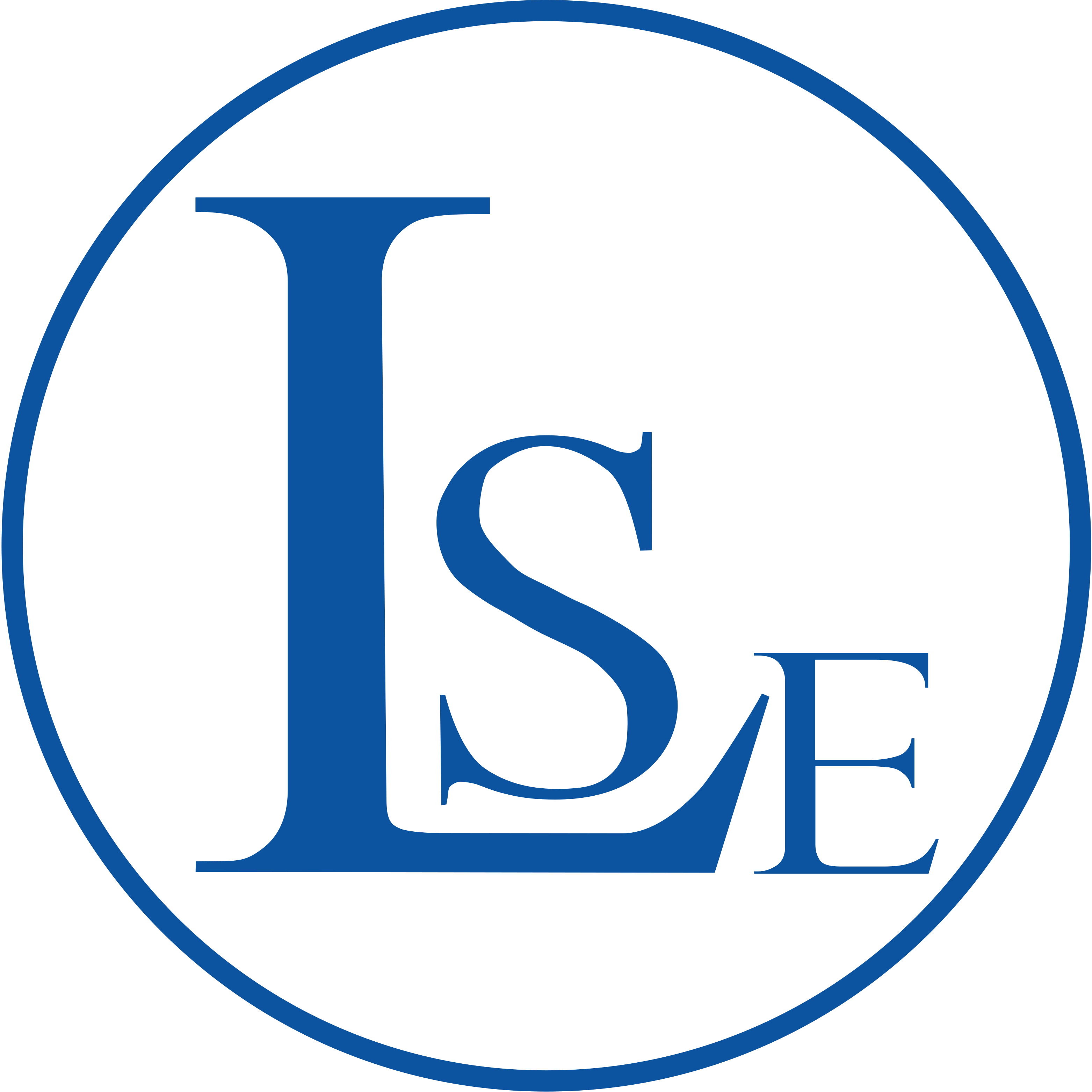 lsebucuresti.org icon