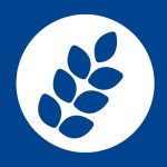 lubella.pl icon