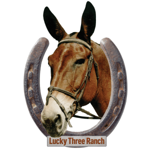 luckythreeranch.com icon
