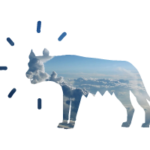 lupasystems.com icon