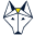 lupusandcompany.com icon
