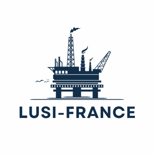 lusi-france.fr icon