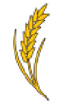 luthigrains.com icon