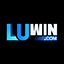 luwinopt.com icon