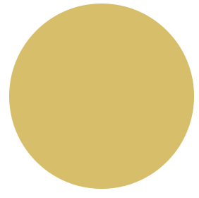 luxury-club.it icon