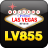 lv855.com icon