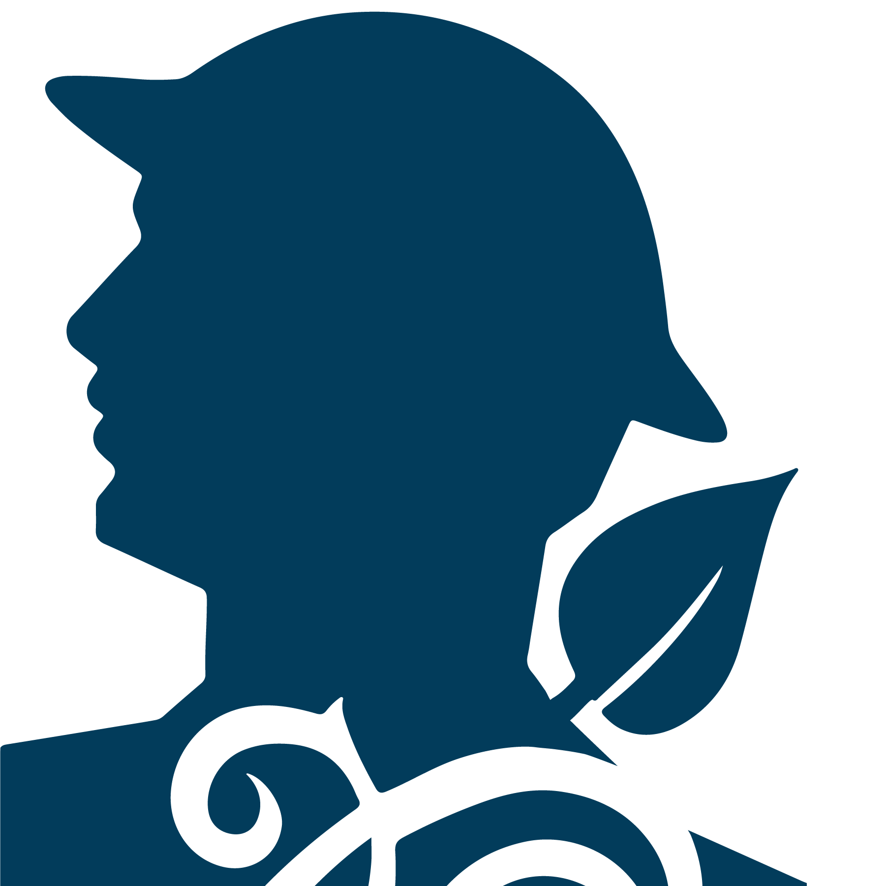 lvpgh.com icon