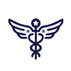 lymphflush.com icon