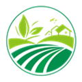 lyny8.com icon