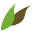 maasheggen.nl icon