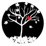 mac5.ca icon