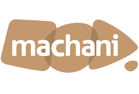 machanigroup.com icon