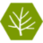 madebybugtree.com icon