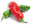madeinnewmexico.com icon