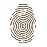 maderasportu.com icon