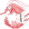 madshrimps.be icon