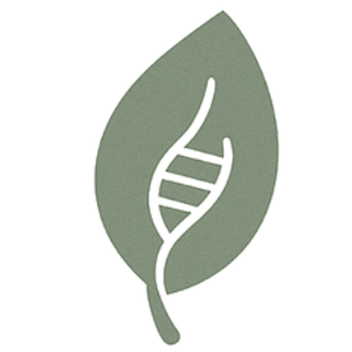 maftfoundation.org icon