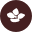 magicalhydrangea.com icon