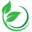 magicofmoringa.co icon