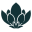 magnoliascharleston.com icon